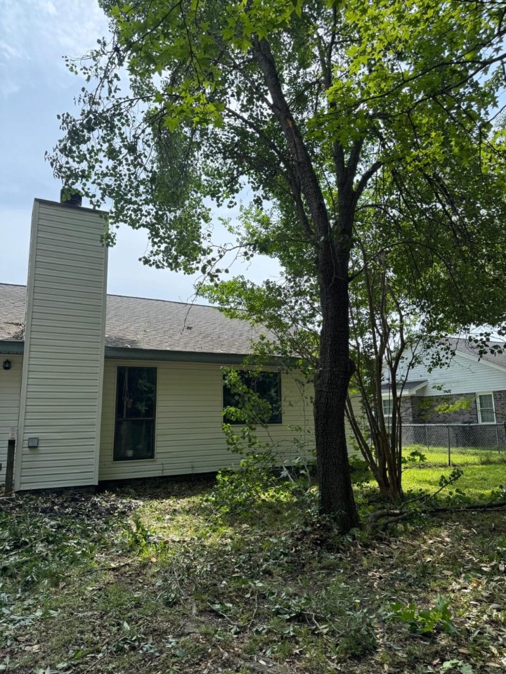 Lion Tree Service and Landscaping LLC project photo 45